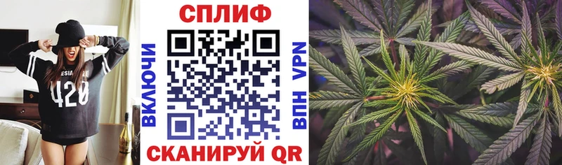 Бошки марихуана Amnesia что такое гидра маркетплейс Апшеронск